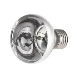 Lâmpada Réptil para Aquecimento de Animais, E27 Luz Noturna, Lâmpada de Serpente Anfíbia, 25W, 50W, 100W, AC 220-230V, Inverno Quente - Image 5