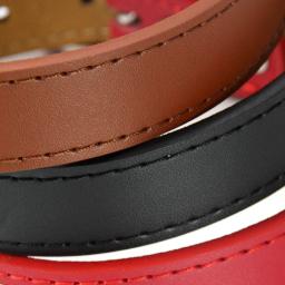Coleira de couro personalizada para animais de estimação, coleiras ajustáveis para cães pequenos e médios e grandes, nome gatinho personalizado, acessórios anti-perdidos - Image 3