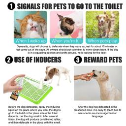 Spray Indutor para Animais de Estimação, Dog and Cat Pad, Pee Training Toilet, Puppy Pet Supplies, Adereços Indutor, 30ml - Image 3