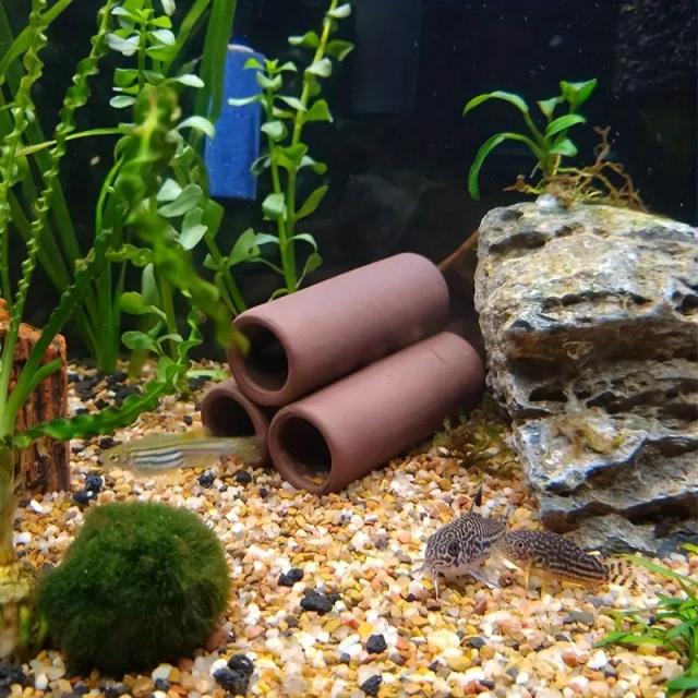 Decoração de Tanque de Peixes: Abrigo de Cerâmica para Camarões e Escorpiões, Simulação de Pedra Artística