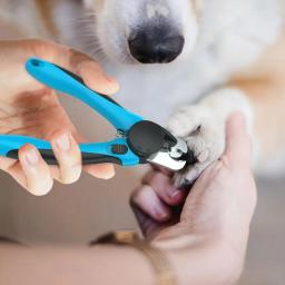Cortadores de unhas profissionais com luz LED para animais de estimação, tesoura para cães e gatos, pequenos animais, suprimentos para animais - Image 4