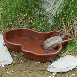 Piscina de banho para répteis, acessórios para anfíbios, grande com rampa, tigela de água para tartaruga, hamster, escorpião, leopardo - Image 4