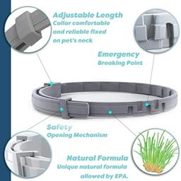 Extensível Pet Flea Collar, Colar Veterinário Personalizado, Tick, Cão Grande, Cachorro, Gato, Anti-Flea e Carrapatos Collar, Dropshipping - Image 2