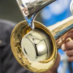 Trombone mudo tuba chifre francês acessórios instrumento musical trompeteordina para prática de som alto - Image 6