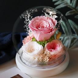 Eterna Rosa com Luz LED, Flor Preservada em Tampa De Vidro, Decoração De Casamento, Festa De Aniversário, Presentes Do Dia Dos Namorados, Dia Das Mães - Image 2