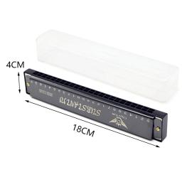 Professional Metal Harmonica com Case, Boca Órgão para Iniciantes, Instrumentos Musicais, 24 Buracos - Image 6