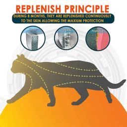 38m Ajustável Pet Collar Cat Dog AntiFlea Collar Anti Flea Tick Piolho Collar Pet Protect Repel Colar de Borracha Pet Supply - Image 4