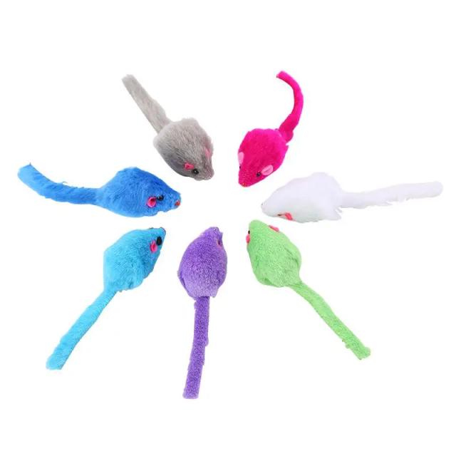 Kit Completo de Limpeza para Aquário: Escova para Tanque de Peixes, Remoção de Algas e Ferramentas 5 em 1