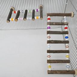 Pássaro de madeira Swing Ladder Toy Roedor Stand Holder Corda de Escalada de Papagaio Escada de Rato para Calopsitas Conures Pet Supplies - Image 1