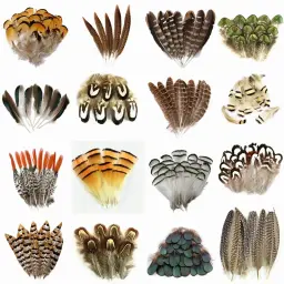 Pena De Pavão Natural Para Artesanato, Penas De Avestruz, Penas De Faisão Para Fazer Jóias, Ornamentos De Carnaval, Decoração Plumas - Image 1