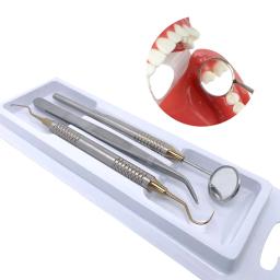 Kit de ferramentas de higiene dental instrumentos kit de limpeza dental desinfecção aço inoxidável antibacteriano ferramentas de cuidados com as gengivas - Image 2