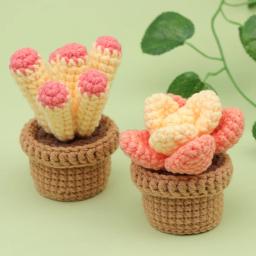 MIUSIE-Iniciante Crochet Kit, Cacto em vaso de planta, Crochet criativo, DIY Keychai Tricô, Chaveiro, Crochet Dolls Material Pack - Image 4
