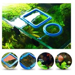 Alimentador de pesca anel para aquário acessórios do tanque de peixes alimentos flocos mini equipamento ferramentas suprimentos água koi tropical guppy tetra - Image 1