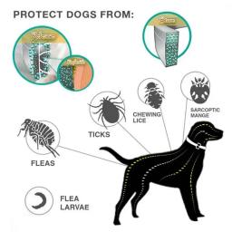 38m Ajustável Pet Collar Cat Dog AntiFlea Collar Anti Flea Tick Mite Louse Collar Pet Protect Repel Colar de borracha Pet Supply - Image 4
