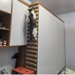 Brinquedos Atividade de parede Cat Wood Sisal Scratcher Climber Mobiliário Cat Bridge Corda Passos Gatinho Escada Gatinho Post Wall - Image 1
