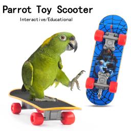 Quebra-cabeça de skate multi-padrão para pequenos animais de estimação, papagaio, hamster, peônia, treinamento pequeno, brinquedos interativos - Image 1