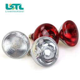 Lâmpada de aquecimento para répteis anfíbios Pet, preservação térmica, calor infravermelho Ray, Pet, gado, animais, 100 W, 150 W, 200 W, 275W, 220V - Image 2
