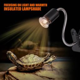 Réptil Heat Lamp Holder, Lâmpada para Tartarugas, Suporte da lâmpada de aquecimento, Termômetro, Higrômetro, Basking, 220V - Image 1