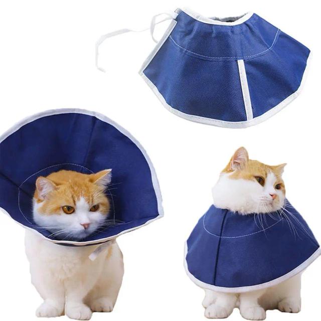 Coleiras Elisabetanas para Pets: Confortáveis e Protetoras Contra Lambidas e Mordidas para Gatos e Cães