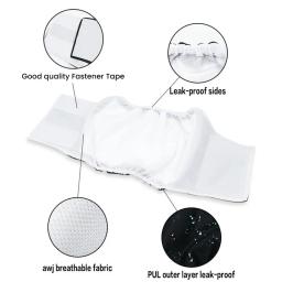 Fralda de cachorro anti mancha, calça menstrual leve com estampa dos desenhos animados, barriga elástica lavável para pet, envoltórios masculinos para cães - Image 3