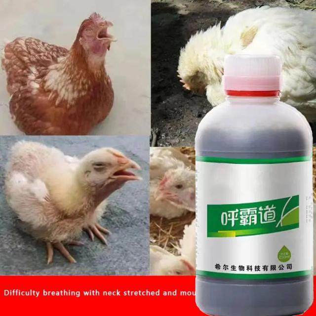 Suplemento Respiratório Huspeedba para Aves: Galinhas, Patos, Gansos e Pombos com Ronco e Chamada Estranha - 250ml
