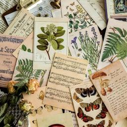 30 pçs retro antigo floresta animais plantas espécime cartão postal vintage criativo escrita cartões postais diar diários diy - Image 1