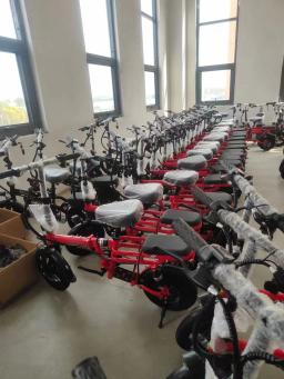 Bicicleta elétrica de íon de lítio para adultos, bicicleta leve de liga de magnésio para homens e mulheres, bicicleta assistida por energia - Image 2
