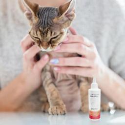 Essência hidratante profunda para animais de estimação, óleo natural para cuidados com filhotes e gatinhos, limpador sem lavagem, duradouro para cuidados com gatos, 200ml - Image 3