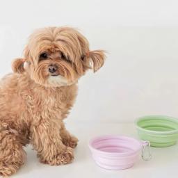 Pet folding silicone bowl, 350ml, tigela de comida para cães, recipiente de água, alimentador de filhotes, acampamento ao ar livre, acessórios portáteis para cães - Image 2