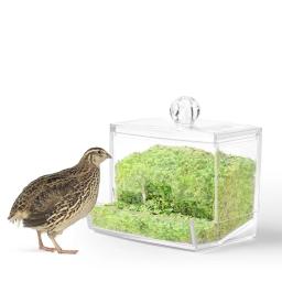 Alimentador Automático de Alimentos de Frango Rutina, Grande capacidade, Anti-tombamento, Food Box, Suprimentos de alimentação para animais pequenos - Image 1