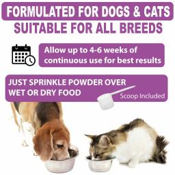 Probiótico Probiótico Completo para Cães e Gatos, Pet Daily Care, Digeful Health, Pet, 2,1 oz - Image 3