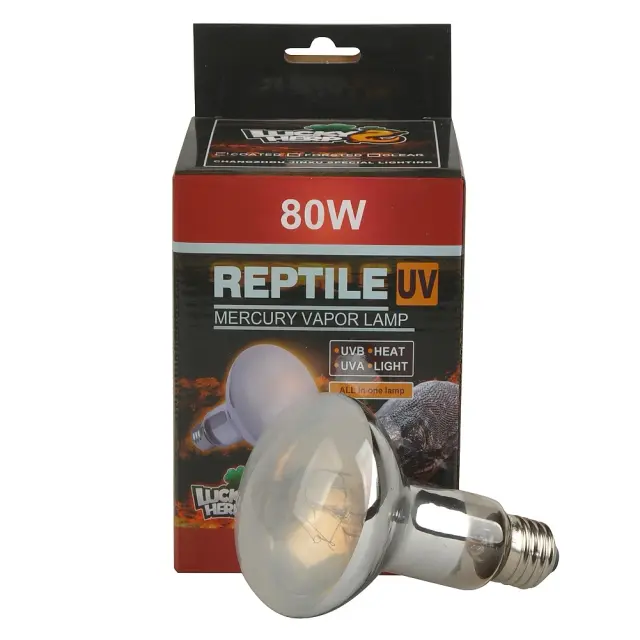 Lâmpada 3 em 1 para Répteis: Calor, UVB e UVA Espectro Completo, 80W, R80, 220V-240V, E27