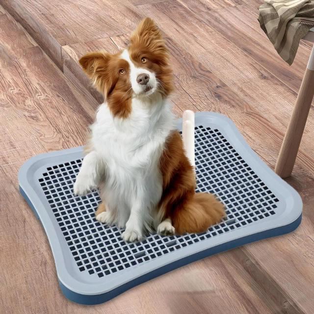 Toalete para cães e gatos com coluna urinária e almofadas de treinamento para animais domésticos e coelhos