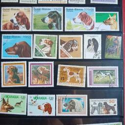 Pássaros raros e animais selos para decoração Home, presentes da coleção filatélica mundial, selos postais estrangeiros, não repetidos, vários - Image 3