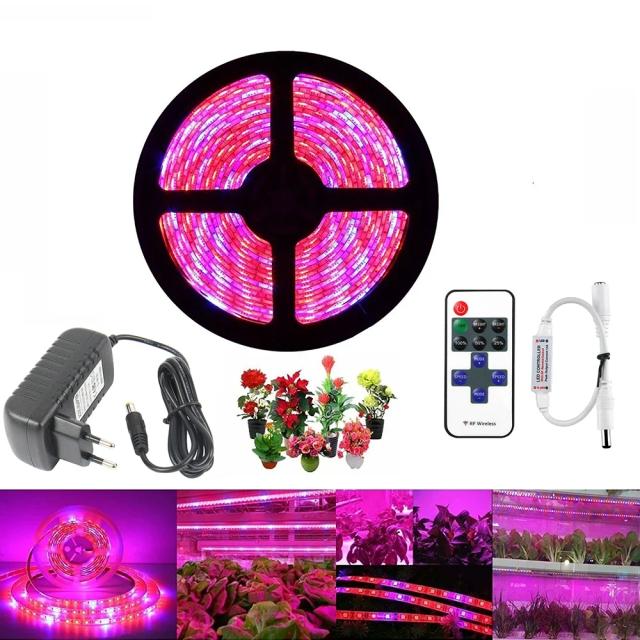 20m 15m 10m 5m planta led cresce a luz 4:1 espectro completo led crescer tira de luz smd dc 12v led phyto fita para flores estufas