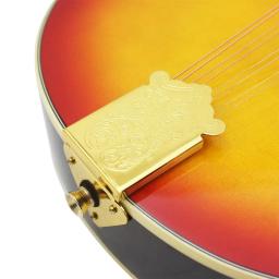 Guitarra elétrica de bandolim com afinador de saco e picaretas, jacarandá, instrumento musical para iniciantes e adultos, 8 cordas, estilo - Image 6