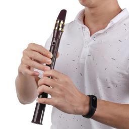 Mini saxofone de bolso com acessórios, 8 furos, saxofone profissional para iniciantes, amantes da música, instrumento de sopro - Image 2