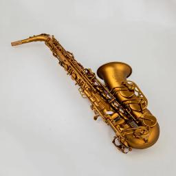 Alto Eb Tune Saxofone com Boquilha Case, Instrumento Musical, Champagne Gold Lacquer, Latão, New Arrival, Frete Grátis - Image 1