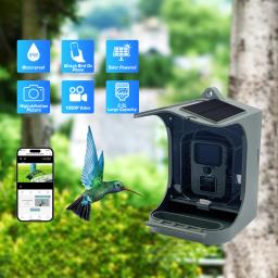 Câmera alimentadora de pássaros inteligente alimentada por energia solar, 1080p, sem fio, wi-fi, à prova d'água, caça, trilha - Image 2