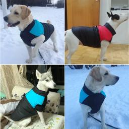 Jaqueta acolchoada impermeável para cães, roupa quente para cães, zíper traseiro, casaco de cachorro, cães pequenos médios e grandes, inverno - Image 3