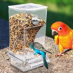 Alimentador Automático De Gaiola De Pássaro Com Perch Recipiente De Alimento Transparente Acessórios Para Pássaros Papagaio Alimentadores De Sementes, Acrílico - Image 5