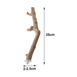 Ventosa de madeira poleiro brinquedo parede viagem gaiola vara papagaio poleiro suporte para papagaio pequeno médio pássaros lovebird ardósitos periquito - Image 6