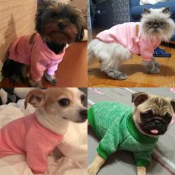 Camisola macia para cães e gatos, roupas quentes, casaco de estimação, moletom, cães médios e pequenos, cachorro, XS a 2XL, outono e inverno - Image 2