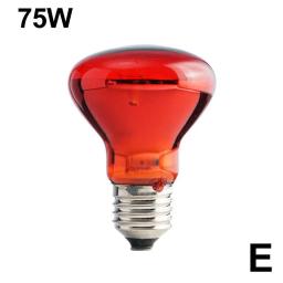 Lâmpada de aquecimento de isolamento infravermelho para répteis, aves, plantas, anfíbios, ferramentas para animais, novo, E27, 100 W, 75 W, 60W, 1 pc - Image 5