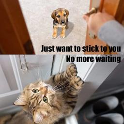 Gato do cão de estimação abridor de porta automática controlável entrada formação porta aberta ferramenta sem perfuração fácil instalação para o gato do cão - Image 6