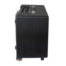 Amplificador sem fio portátil do tubo da guitarra, sistema de som digital, orador ativo, bateria, 10 ", 50W - Image 4