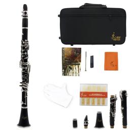 Professional Bb Clarinete com Kit de Limpeza Box, 17 Chaves, Barre Instrumento, Chave de Fenda, Reeds Acessórios - Image 5