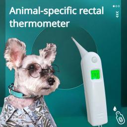 Termômetro Veterinário Eletrônico Pet, Termômetro retal, Dog and Cat Supplies - Image 1