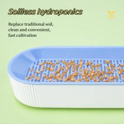 Catgrass hidropônico para planta verde interior, sementes de trigo para gatinhos, lanche de gato, pote claro, pronto para comer, pet snacks - Image 5