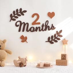 Feltro Prop Fotografia para recém-nascidos, Adereços Fotografia para o bebê, Tiro Prop, Decoração do quarto, Milestone Acessórios, 0-12 meses - Image 1